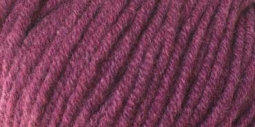 Cashmere-Trend